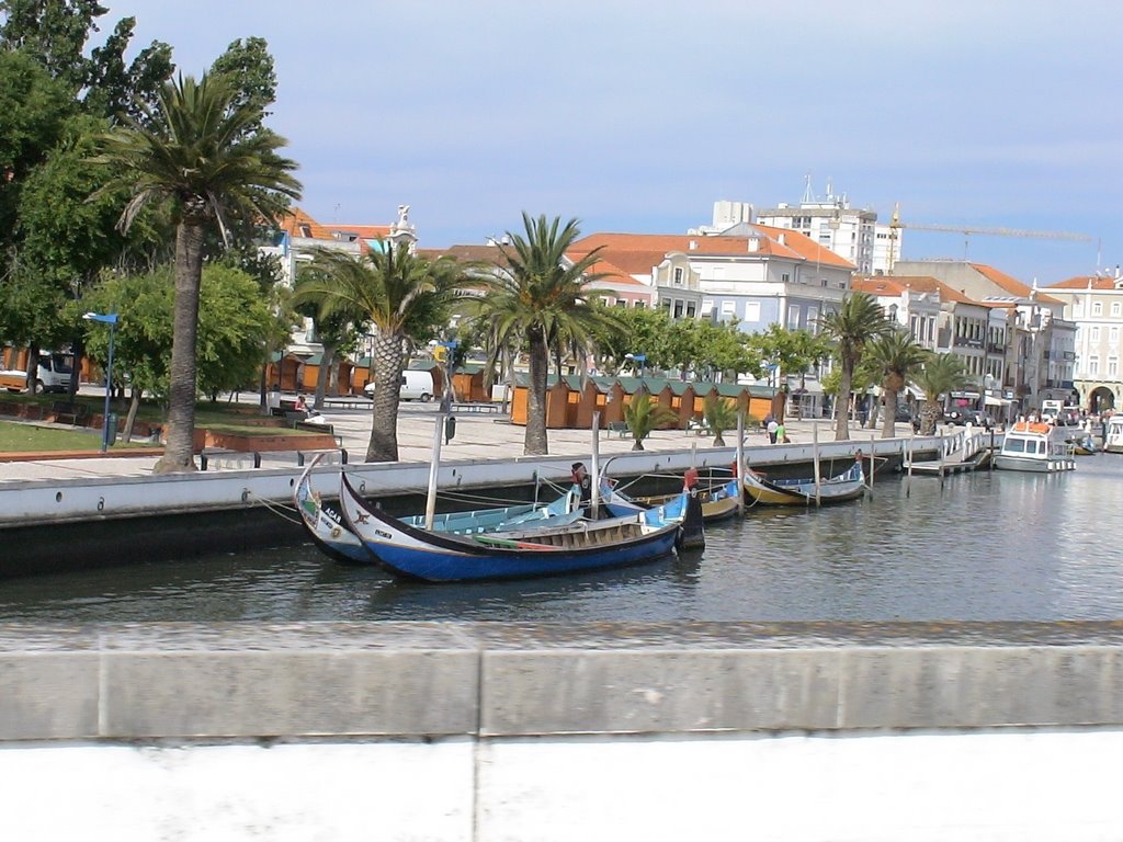 Aveiro by © Helena Costa