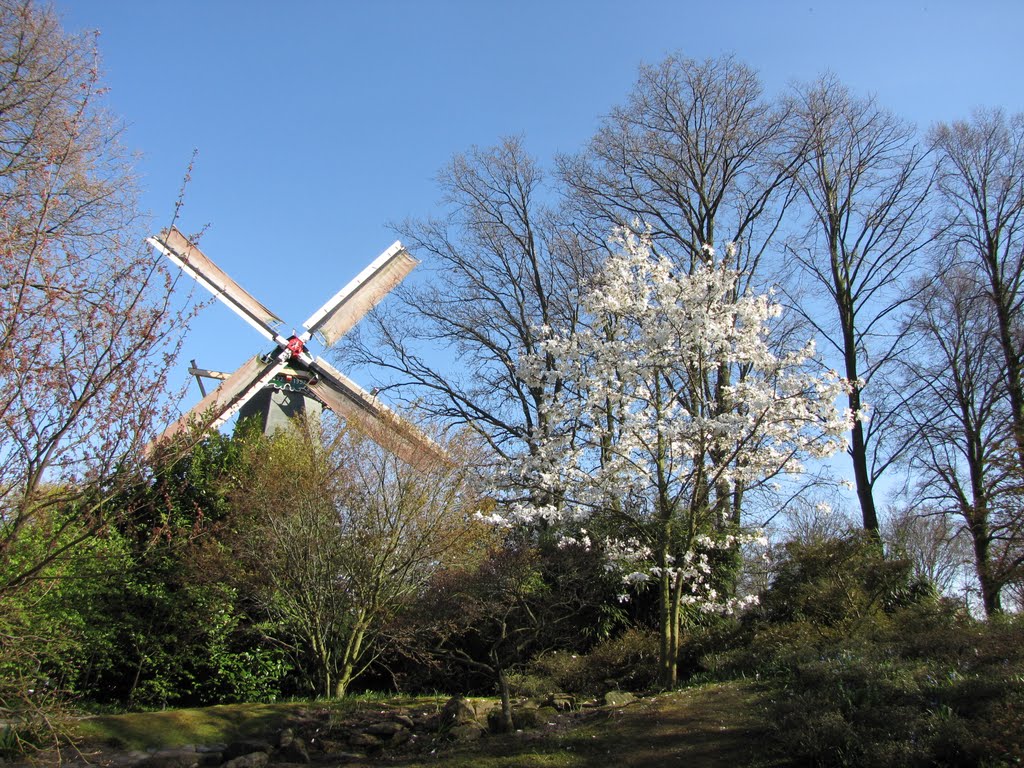 Keukenhof, Holland by baba49