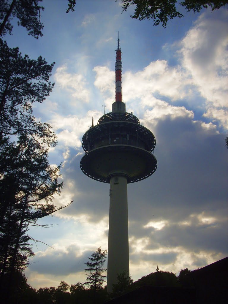 H©) Mai 2010 / Der Fernmeldeturm im Gegenlicht by Hannes Th.