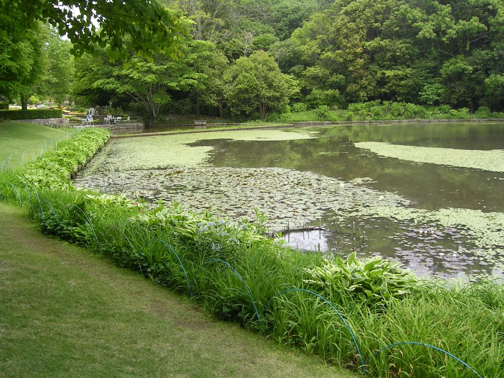 水戸市植物公園　8ha by bin aoi