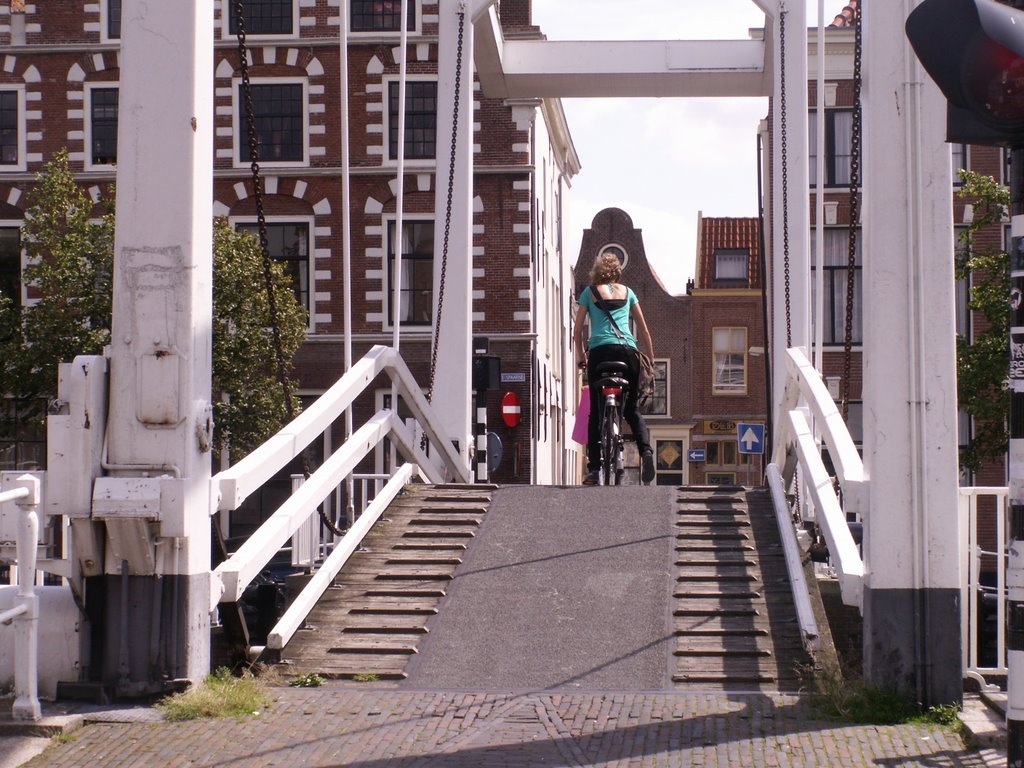 Kippe brug by Harry Bakker