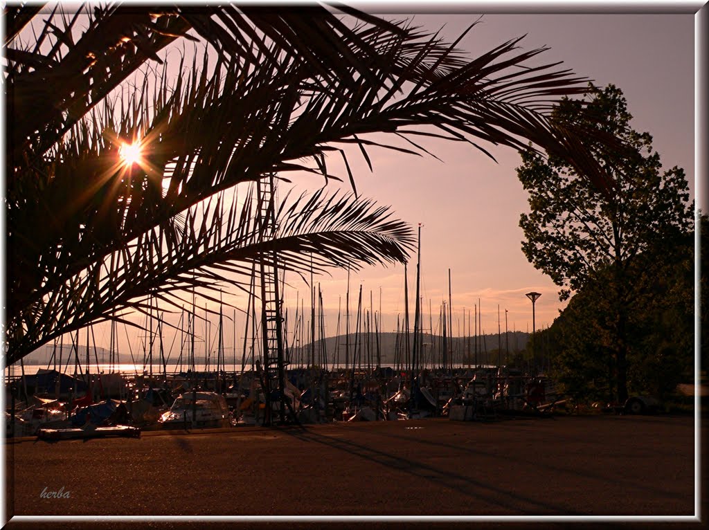 Abend in der Marina by herba