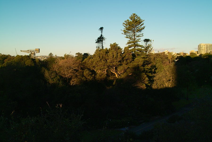 Sydney - Royal Botanic Garden by BerHav