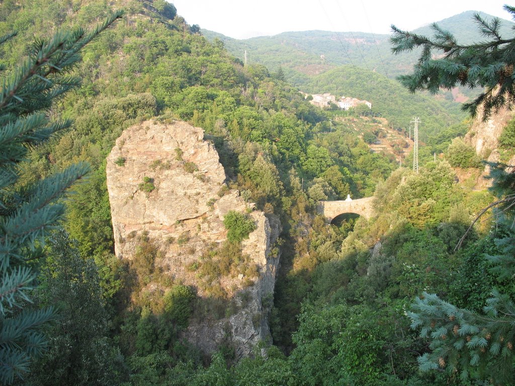 0550 - Ponte pedonale da Nascio a Cassagna - Ne (GE) by Bruno Massa