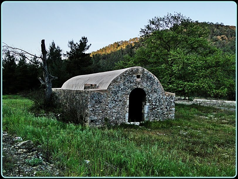 TAŞHAN 1. by Nurullah Gürbüz Köse