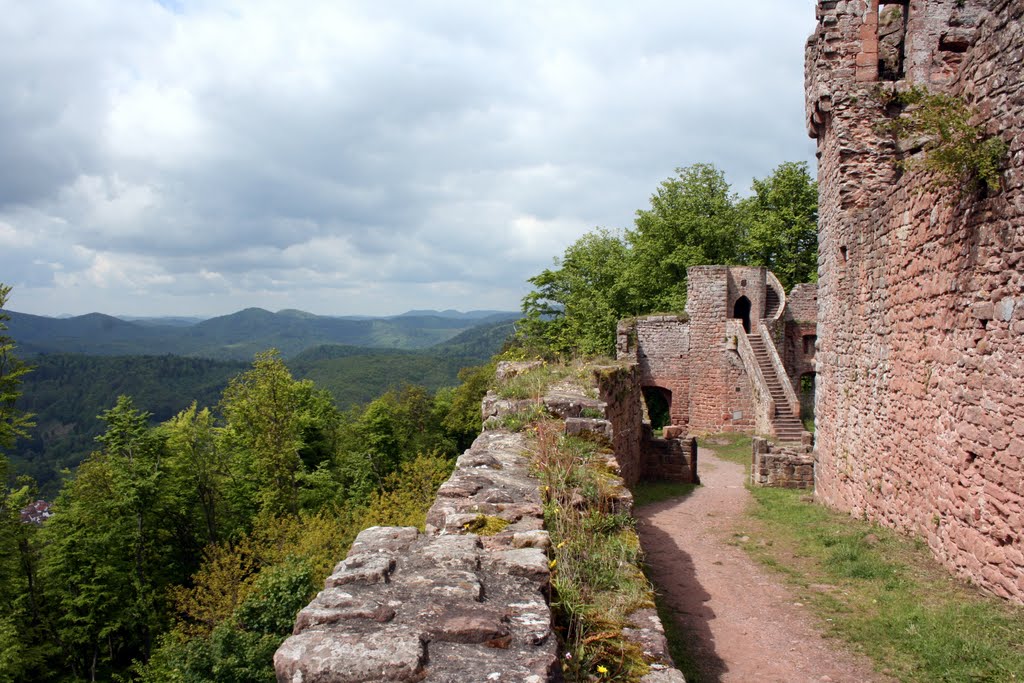 Ruïne Neuscharfeneck in het "Naturpark Pfälzerwald" bij Ramsberg by odeveld