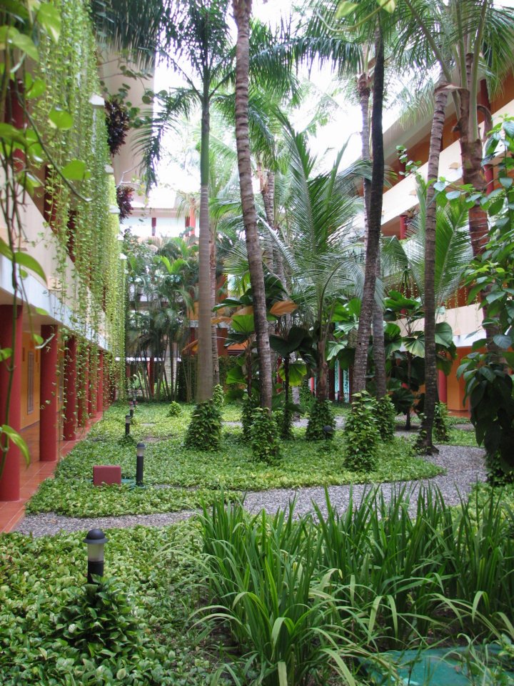 Jardim no interior hotel by SuiSSaS