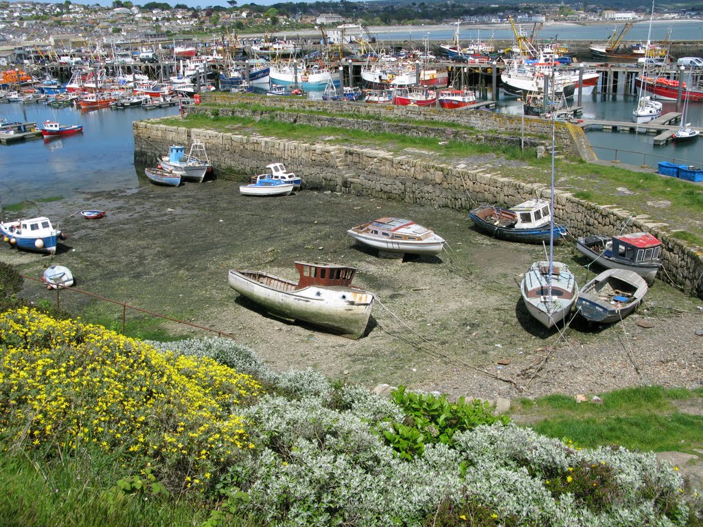 The Old Quay Newlyn, Cornwall by clinton13