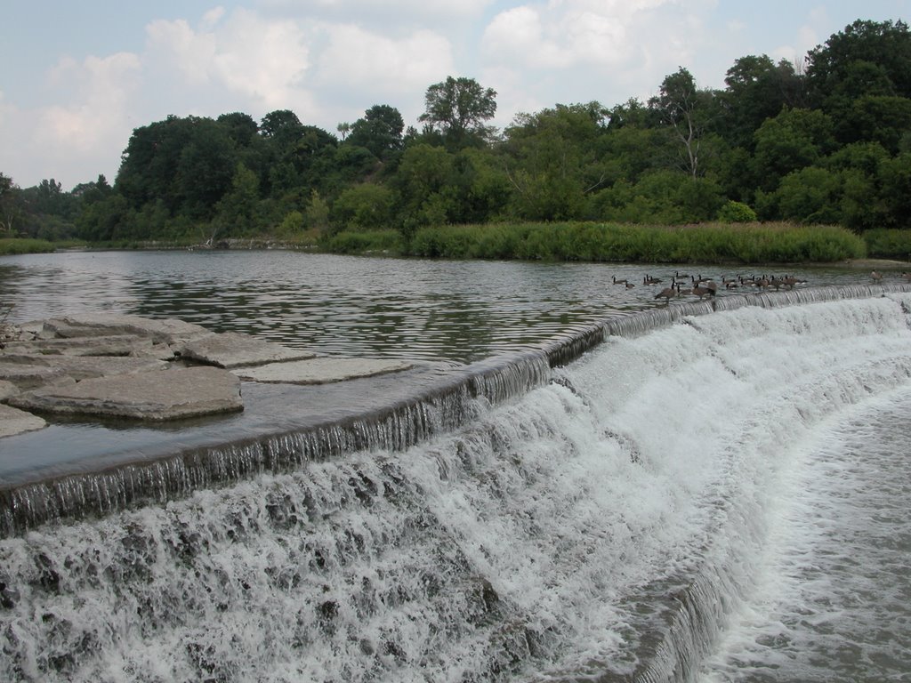 Dam on the Humber by hahaj