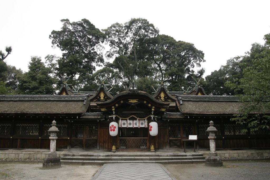 Hirano shrine 平野神社 by Kaiseikun