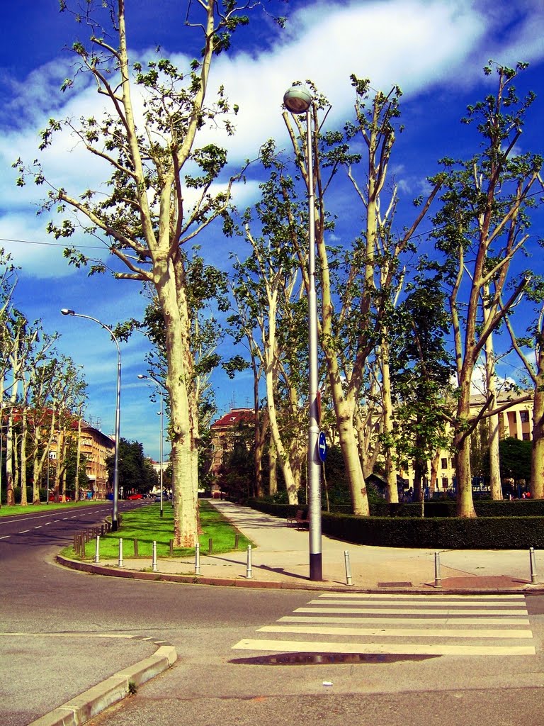 Late spring (King Petar Krešimir IV square) by Miroslav Komar