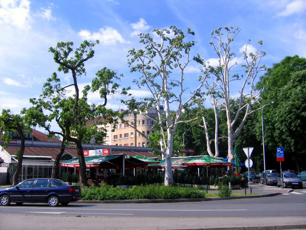 Late spring (Branimir's market) by Miroslav Komar