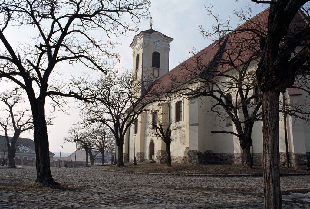 Szentendre in spring by Alexey Kirillin