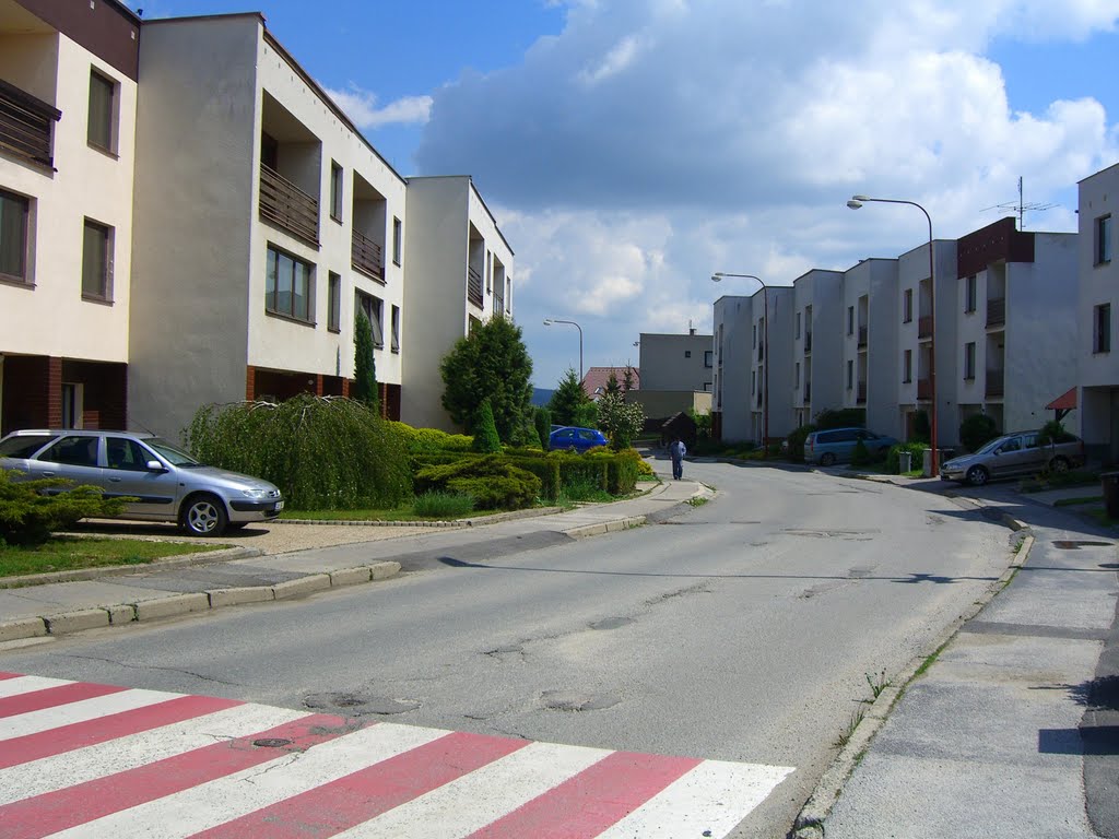 Street Oslavická by Božetěch Čejka