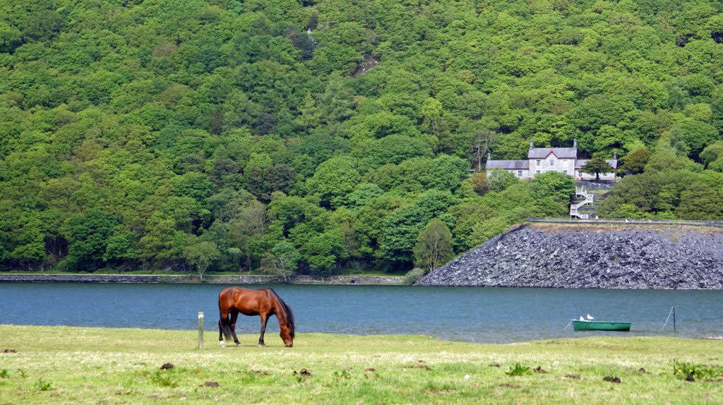 Shore of Llyn Padarn by Ayrshire Lass