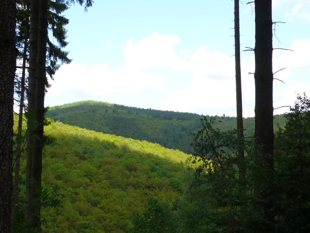 Dornberg bei Freusburg by Sven Wolff