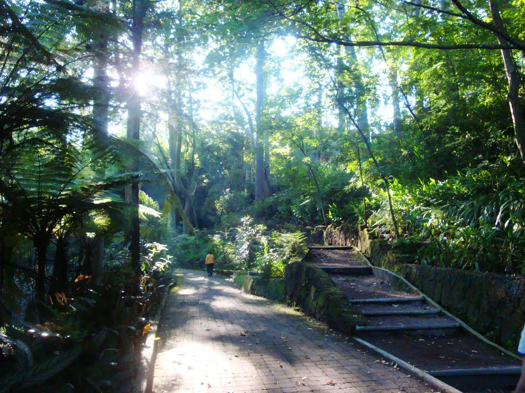 Lugar ideal para caminar by Alejandro Guzmán Robles