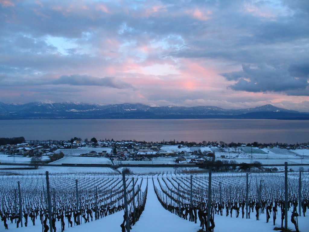 Le lac depuis bougy-villars by Ferrom