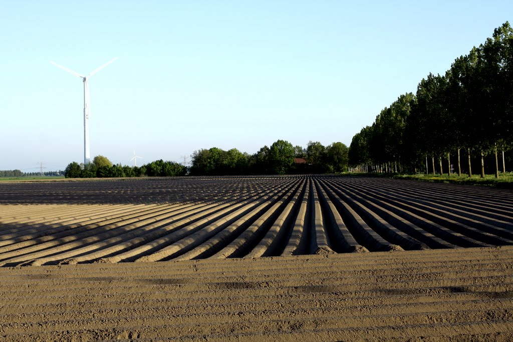 Lines & Shadow by Henk Hester