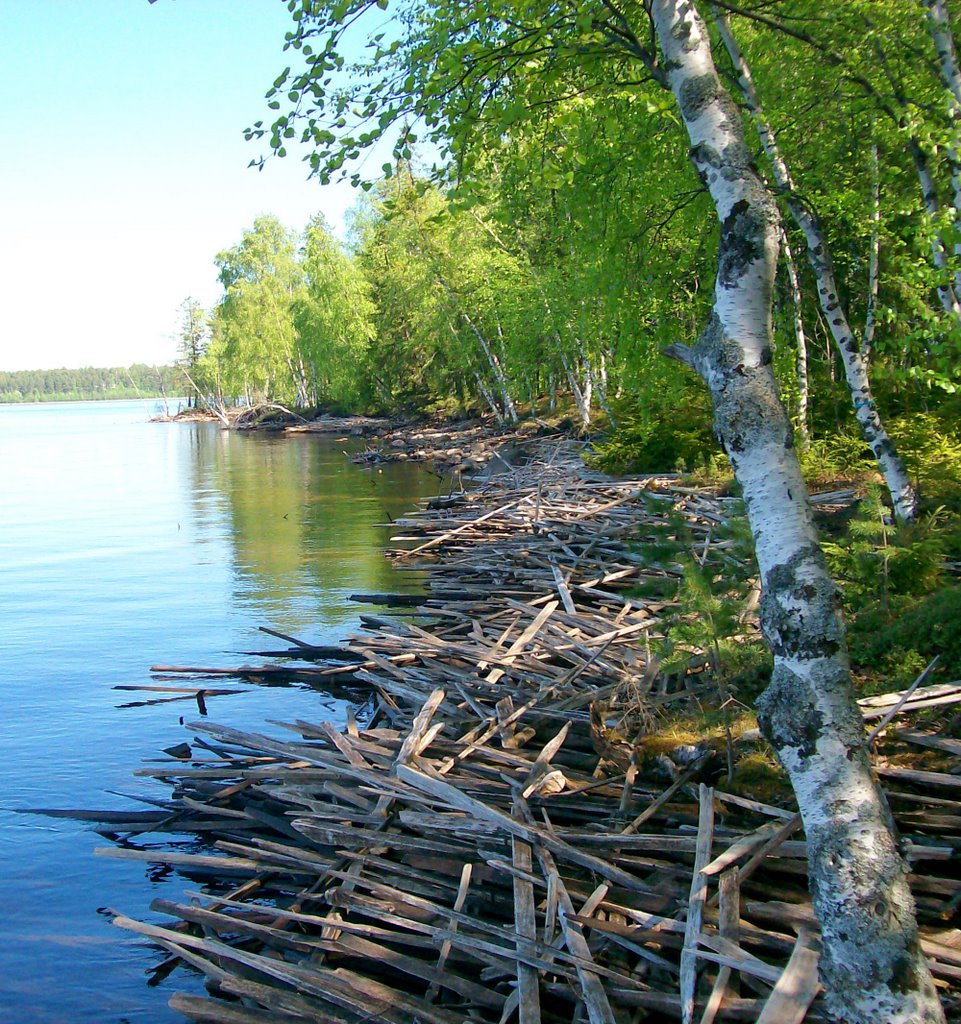 Svartöstaden, Luleå, Sweden by marcobertoni