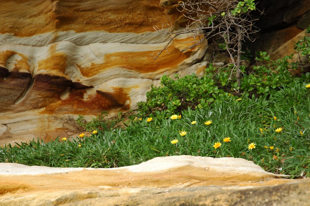 Bronte, sandstone along the walkway by miro59