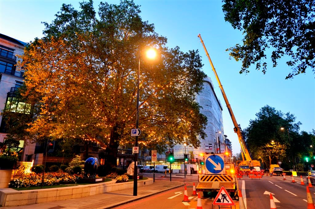 Night Crane work just down from The Dorchester Hotel ~ Park Lane ~ London by Nick Weall