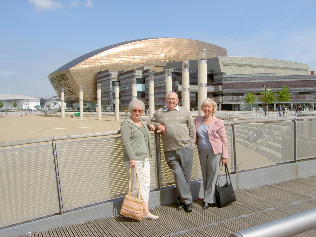 Cardiff, UK by Wally Haines