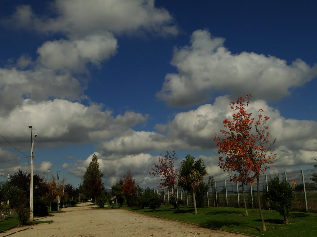 (1.356) NUBES by Patricio Cabezas