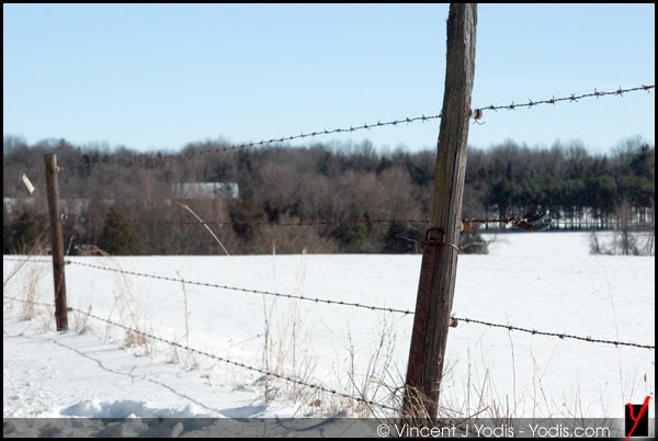 Snow and barbed wire by YodisPhotography