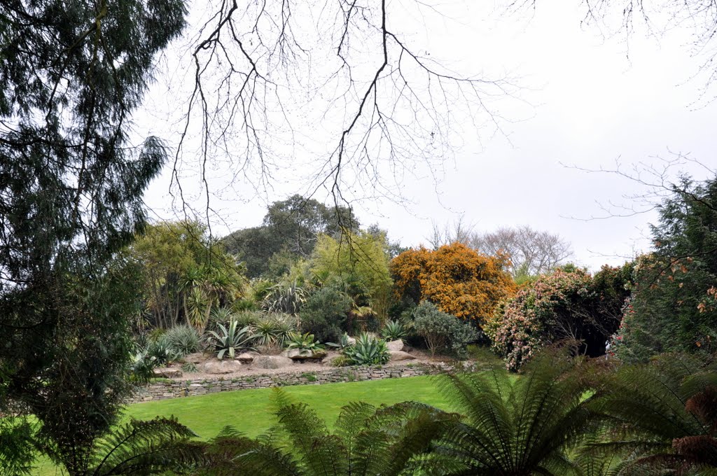 Trebah Garden near Falmouth, Cornwall. (G.B.) by cfeijtel