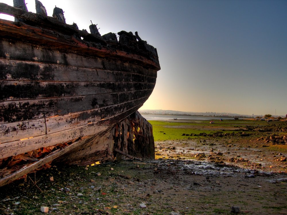 Remains of frigate "Cravidão" I by Vasco Pires