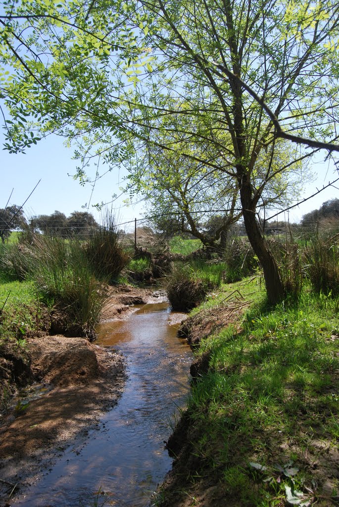 Arroyo a su llegada al Botoz by juanjo68