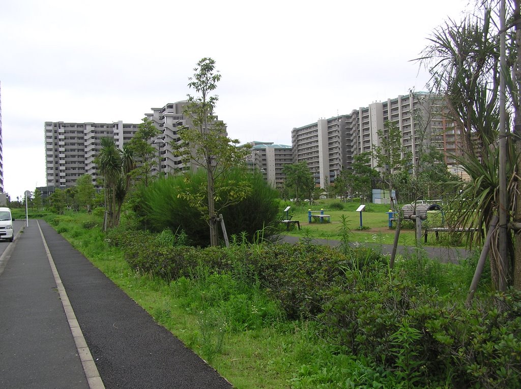 新浦安・日の出地区の公園（The park in Hinode-area,shin-Urayasu,2007.07) by kaohiro