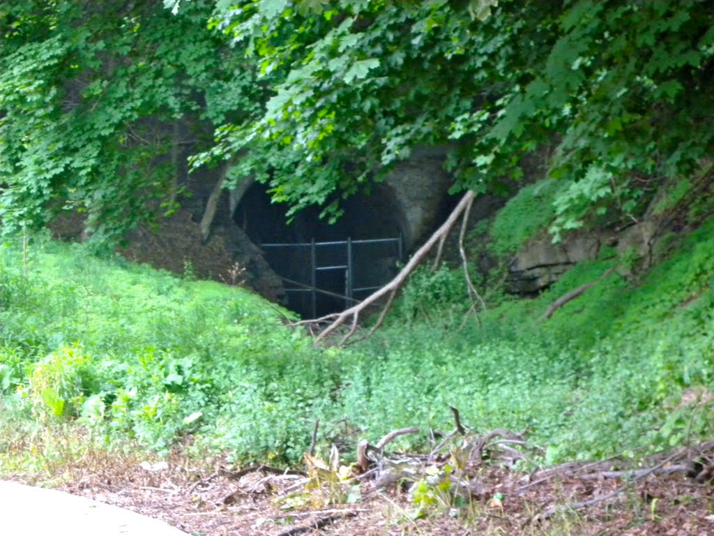 Old Western Maryland Rail Tunnel by Adam Elmquist