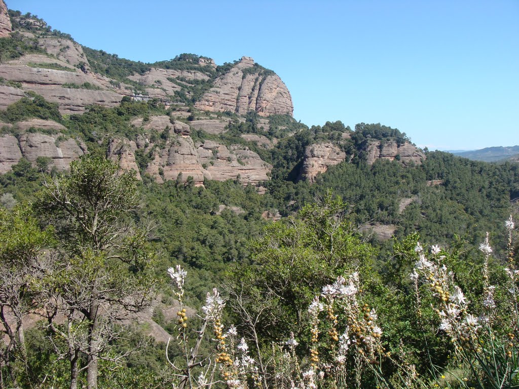 La Morella des del camí dels Maringes by manel_1