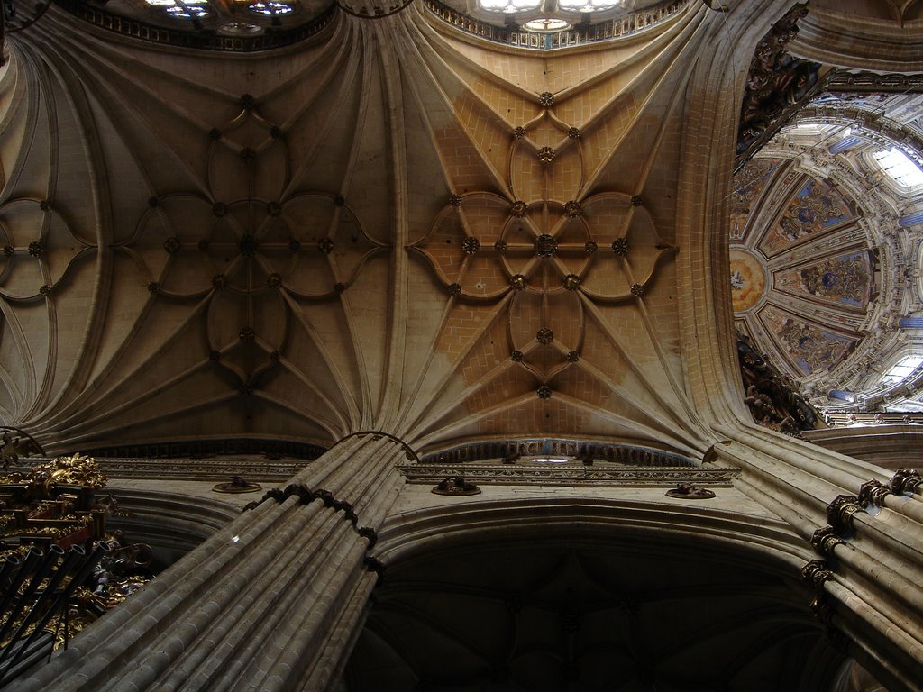 Los pilares nervados de la catedral de Salamanca by Ignacio Lecaros U