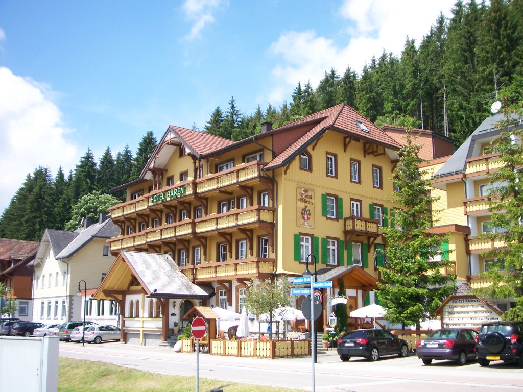 Picturesque Titisee Hotel by AndrewH