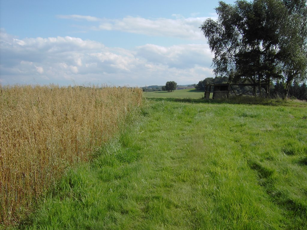 Landschaft bei Vielbach by wolf-vielbach