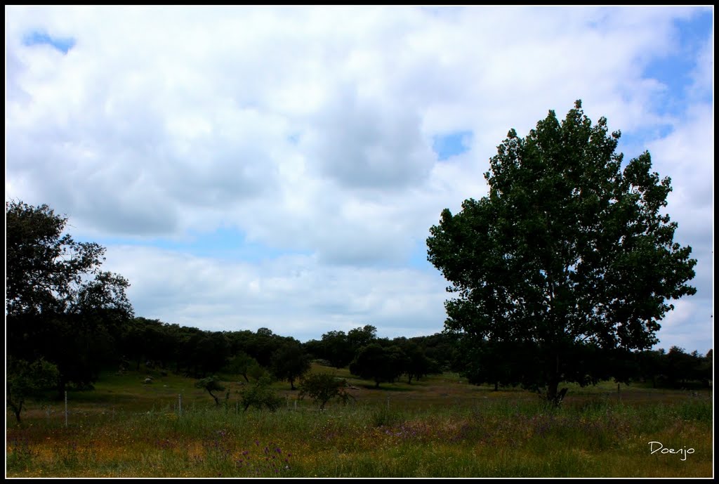 Paisaje de la Sierra by Doenjo