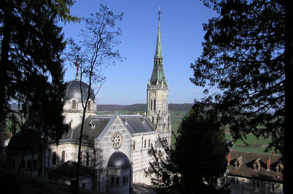 Basilique du bois chenu (Domremy la pucelle) by peuch88