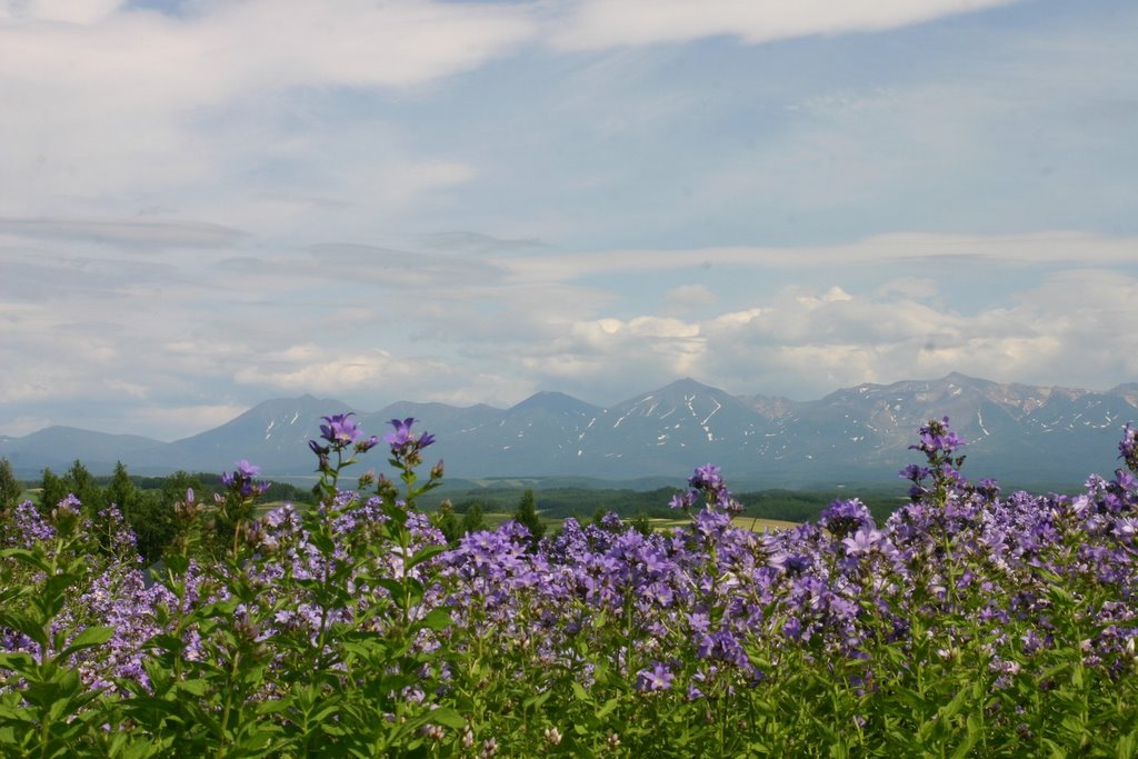 Shinsei, Biei, Kamikawa District, Hokkaido Prefecture 071-0473, Japan by ericosur