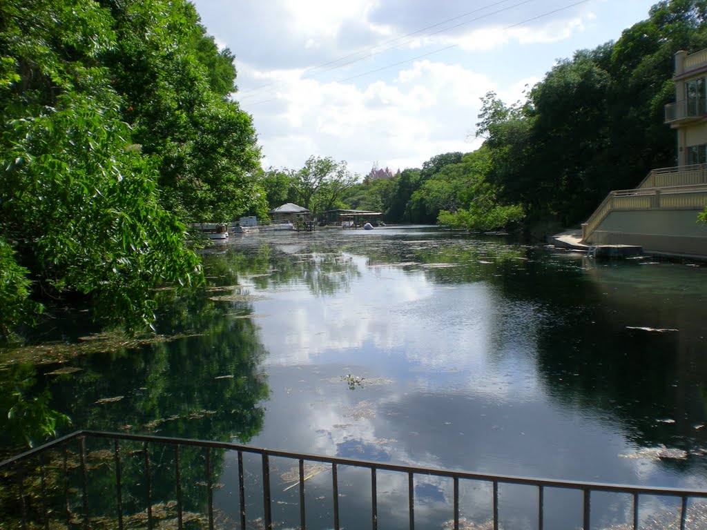 Aquarena Springs with Texas State Old Main in background by mfetraveler