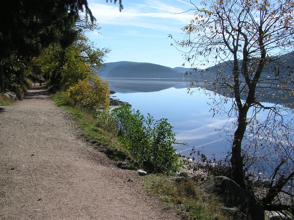 Schluchsee/ Schwarzwald by Walter Scherb