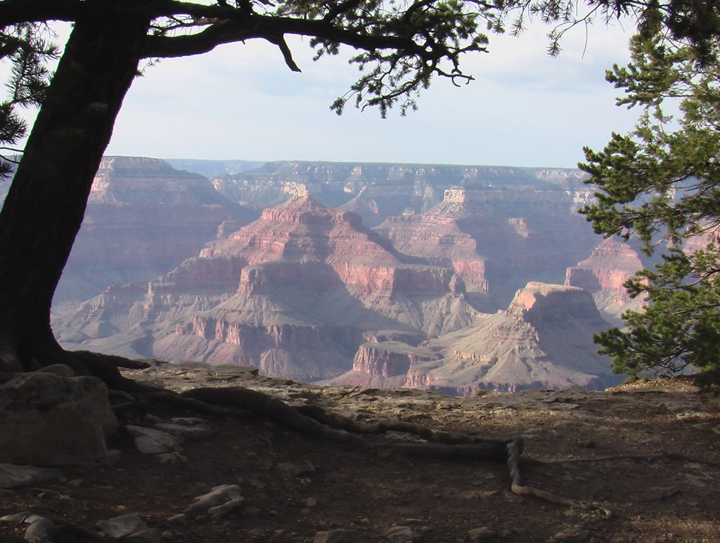 USA/ Grand Canyon 1 by Walter Scherb