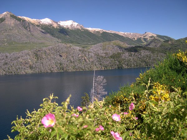 * Lago Gutierrez, Cerca de Bariloche, Argentine by planetair