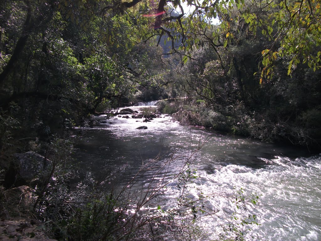 CACHOEIRA DO GAMELÃO - BOQUEIRÃO DO LEÃO - RS by Josias Porciuncula Obes