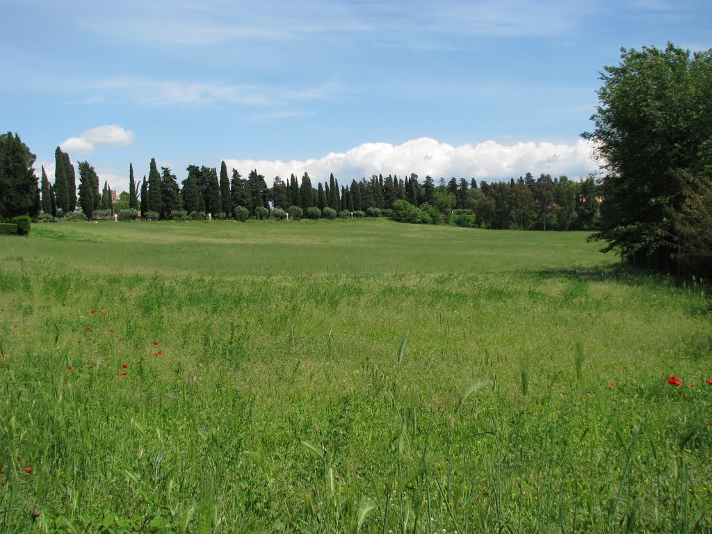 La campagna romana in difesa di antiche sepulture by Andrea779