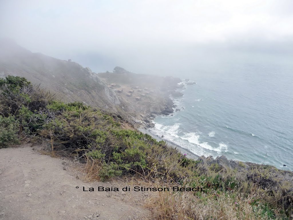 Stinson Beach - Mist at Stinson Beach - 30 July 2009 by cescav