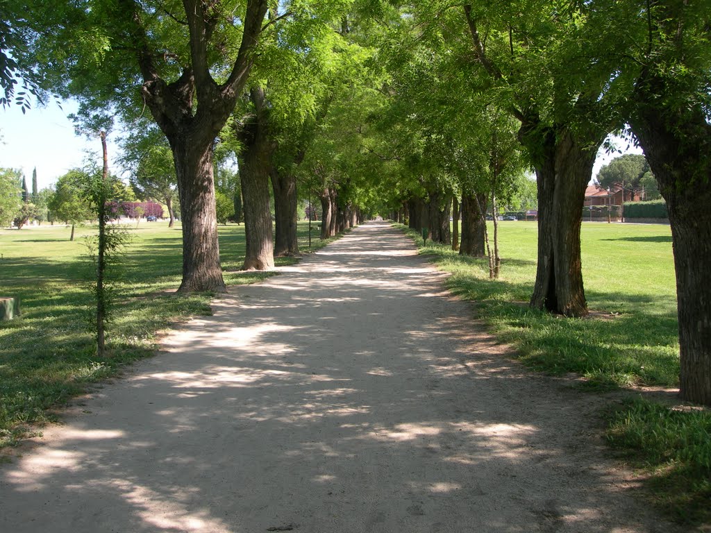 El pasillo verde de Villafranca del castillo by Manuel Ángel Agapito Mera