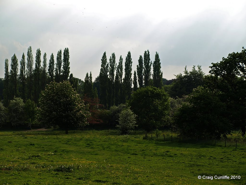 Canal-side at Woodlesford, Leeds 26. Part of Water Haigh Woodland Park. by craig.cunliffe